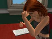 TS2 Sim doing homework