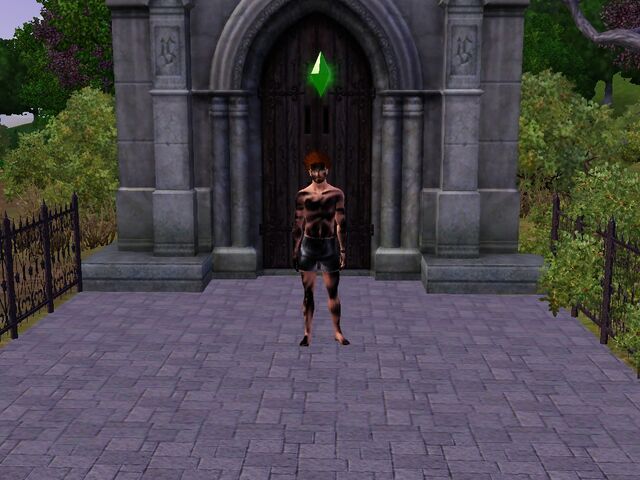 File:Singed Sim.jpg