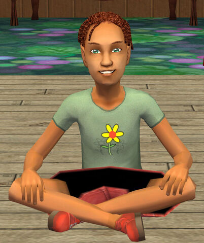 File:Bottom Summerdream In-game.jpg
