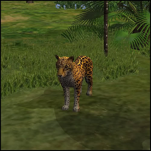 Sims 3 animal cc