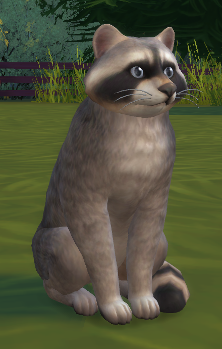 Sims 4 Raccoon Tail