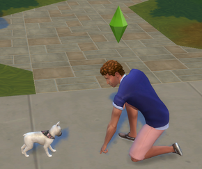 Pet training games Pet training games