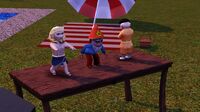 Three gnomes