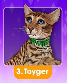 Pets The Sims Freeplay Wiki Fandom
