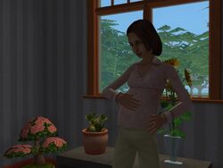 Gravidez (TS2)