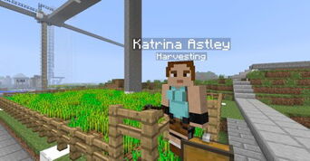 Farmer harvesting