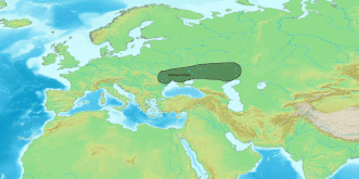 IE-migrations