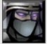 Icon Sinjid Shadow of the Warrior