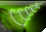DrainPlanet button