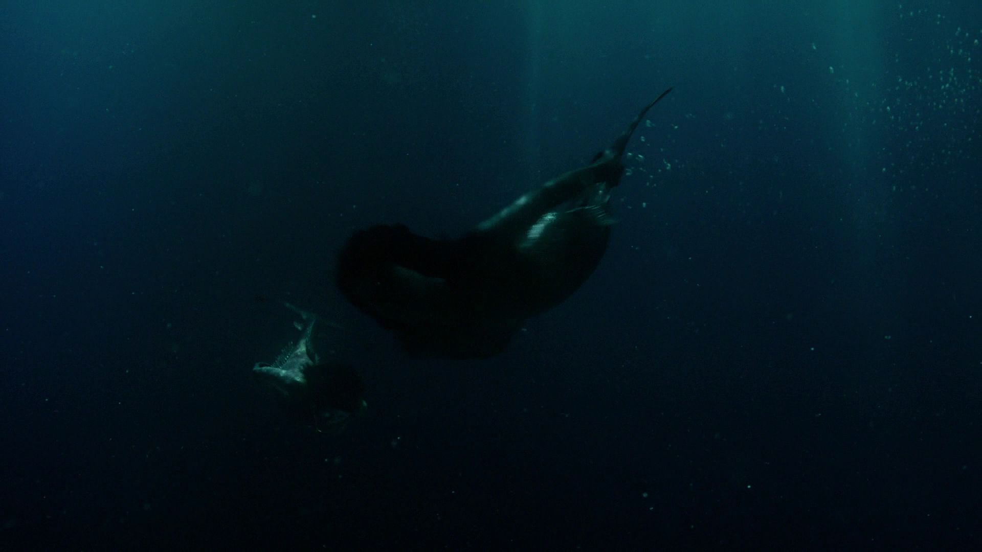 Image - S01E04-On-the-Road-109-Ryn-Donna-Mermaids-swimming.jpg | Siren ...