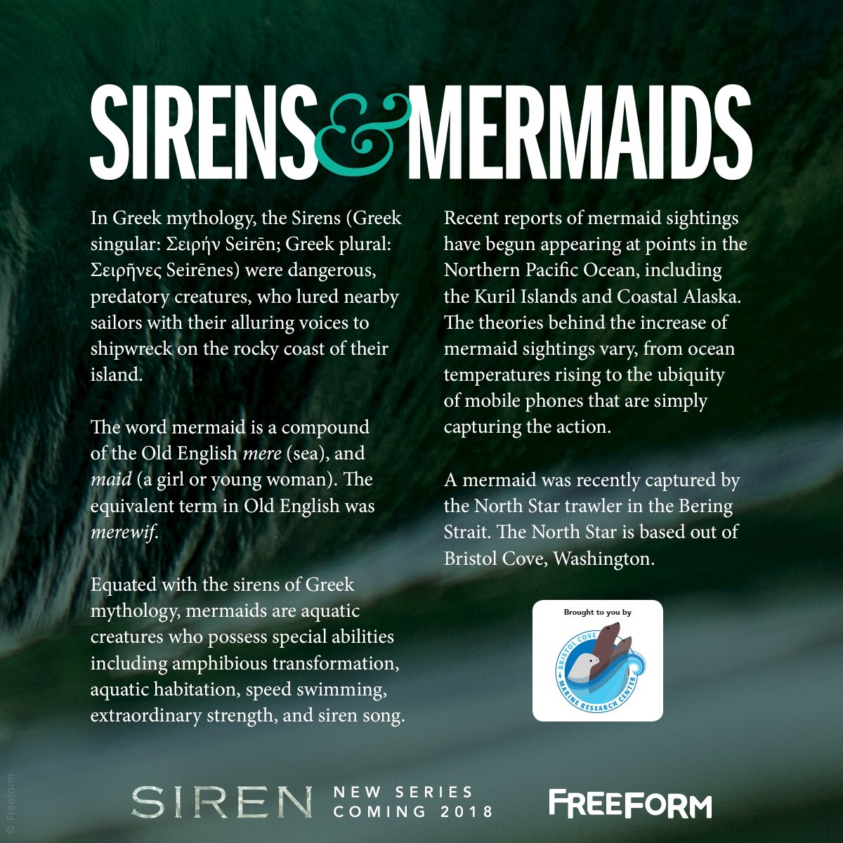 image-freeform-official-sirens-and-mermaids-definition-poster-jpg