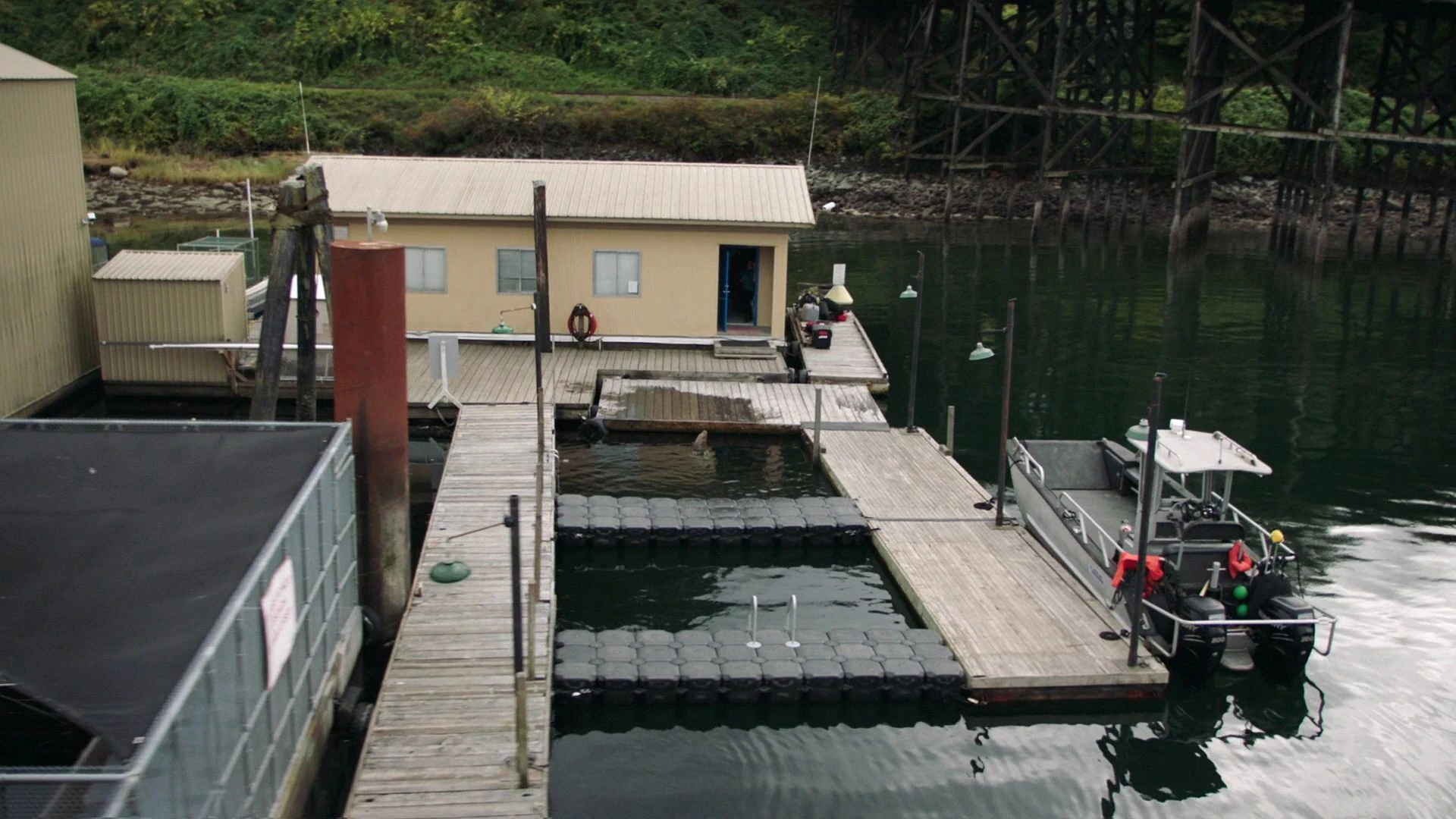 Bristol Cove Marine Research Center Siren Wiki Fandom
