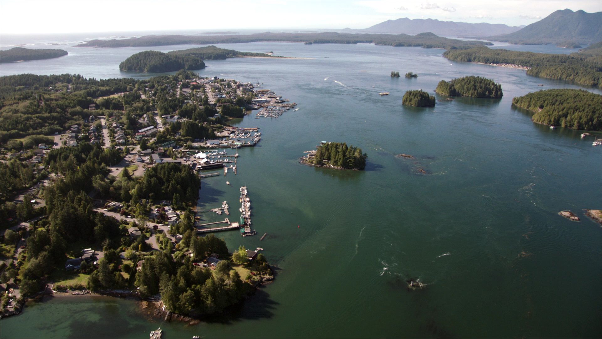 Bristol Cove