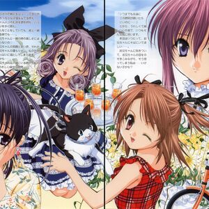 Get Wallpaper Sisterprincess Wiki Fandom For Android Free