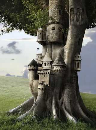 Tree Fortress