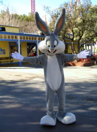 bugs bunny plush six flags
