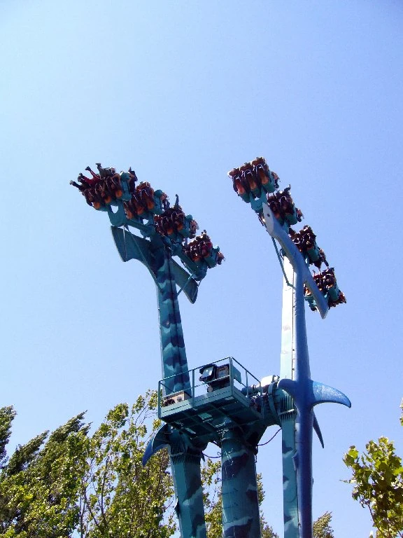 Hammerhead Shark Six Flags Wiki FANDOM powered by Wikia