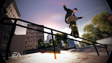 Marc Johnson Skate 2