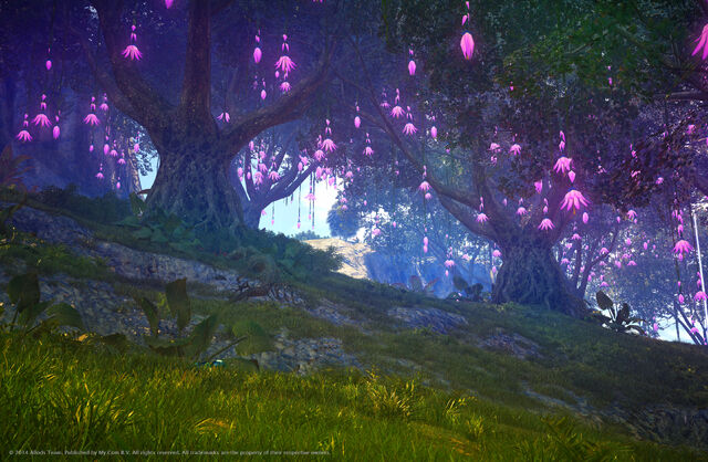 File:Purple Flower Trees.jpg