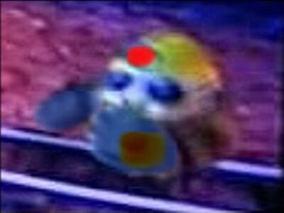 123
