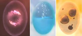 Elemental Sources Magic Water Earth