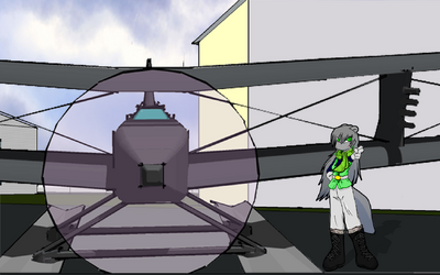Anna and her plane