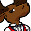 Moose face
