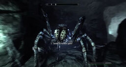 SeranasSpider