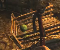 Cabbage s6e01