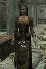 Sonir01