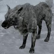 Skyrimicewolf