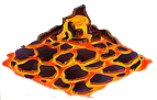 Fir