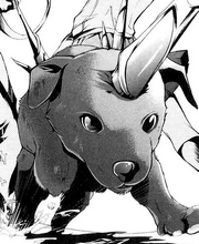 Jin puppy form
