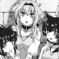Light Novel: Volume 6 | Slave Harem in the Labyrinth of the Other World