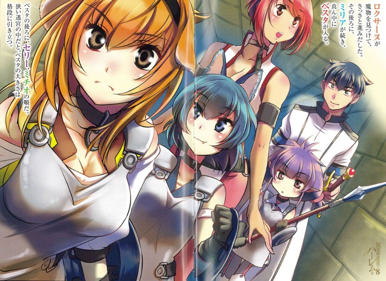 Harem Of The Labyrinth In Another World Streaming Discuss Everything About Slave Harem in the Labyrinth of the Other