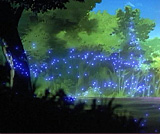 Fairy souls