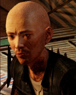 Ming Sleeping Dogs Wiki Fandom