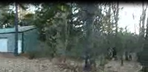 SLender FInders