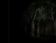 SlenderWebEdition