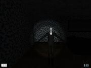 Slender-House