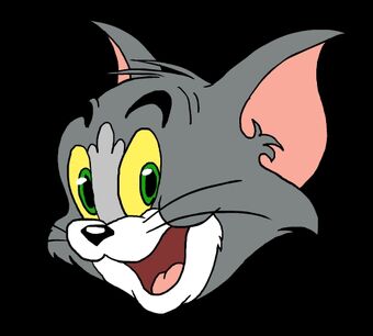 Mogolovonio Saness Gif