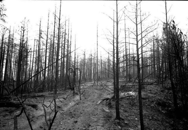 File:Slender Man.jpg