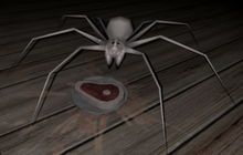 SpiderNewPC