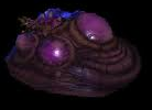 Blob Changeling