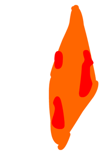 TARRSLIMEPLORT