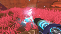 WaterSpoutDryReefAnim