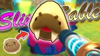 Slime sable puro