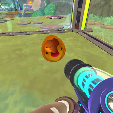 Honey Slime/Gallery | Slime Rancher Wikia | Fandom