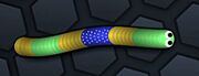 YellowGreenBluestarSnake