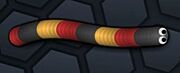 OrangeBlackRedSnake